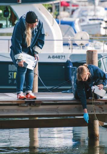Skräprapportering Under våren 2014 rapporterades endast havsstränder. Från och med våren 2015 har alla stränder vid finländska vattendrag varit rapporteringsobjekt.