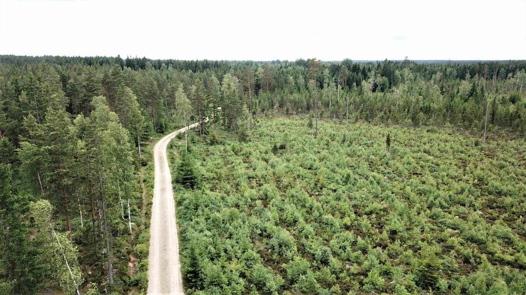 Skog i huggningsklasserna S1/S2 om ca 5 100 m3sk. Jakt på älg, gris, rådjur mfl.