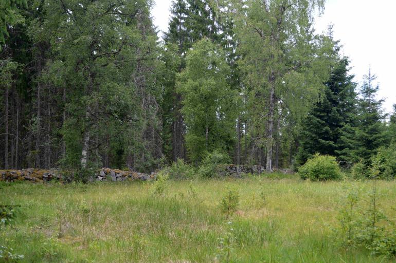 Övrigt Natur och kultur Ingen nyckelbiotop finns registrerad på fastigheten, Källa: Skogens Pärlor, Skogsstyrelsen. Fornlämning: Fossil åkermark, RAÄ-nummer Herråkra 70:1.