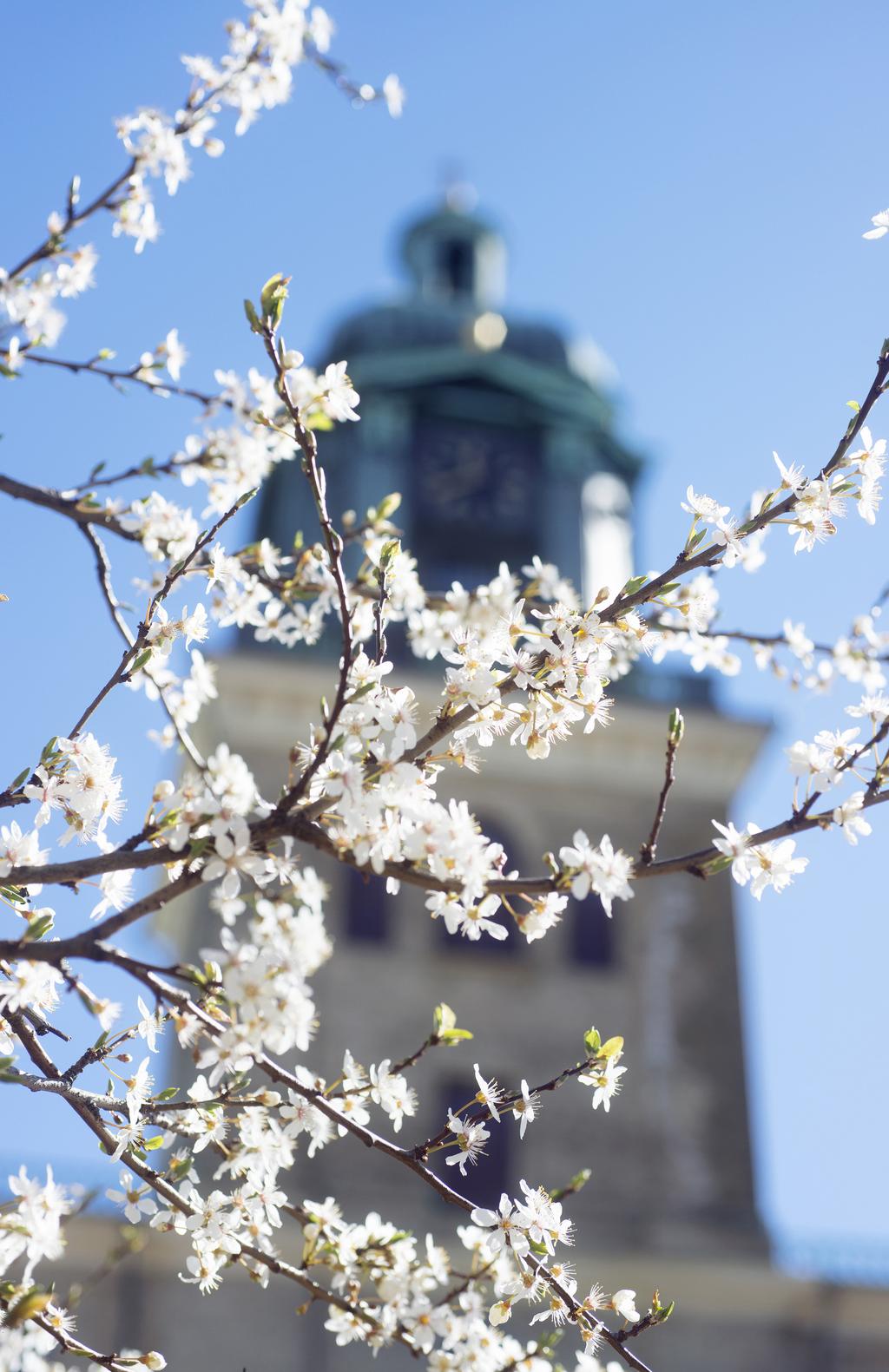 Läs mer om Domkyrkans verksamhet på www.svenskakyrkan.se/gbgdomkyrko Där kan du också anmäla dig till nyhetsbrev. Du kan även läsa av QR-koden här intill.