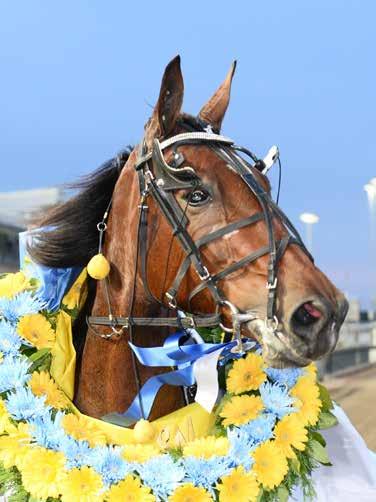 HalmstadTravet Lördag