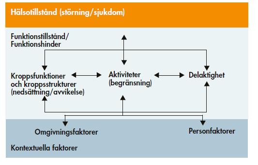 Bedöma behov av insats ICF utgår från en modell som består av två delar: 1.