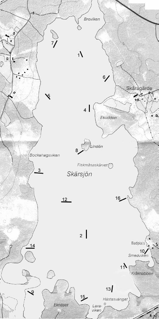 Nätläggningskarta 1:75 Tabell 21. Fångst och djupzonsplacering för varje enskilt bottennät.