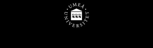 UMEA UNIVERSITET Institutionen fo r socialt arbete Examensarbete 15 hp, Termin 6