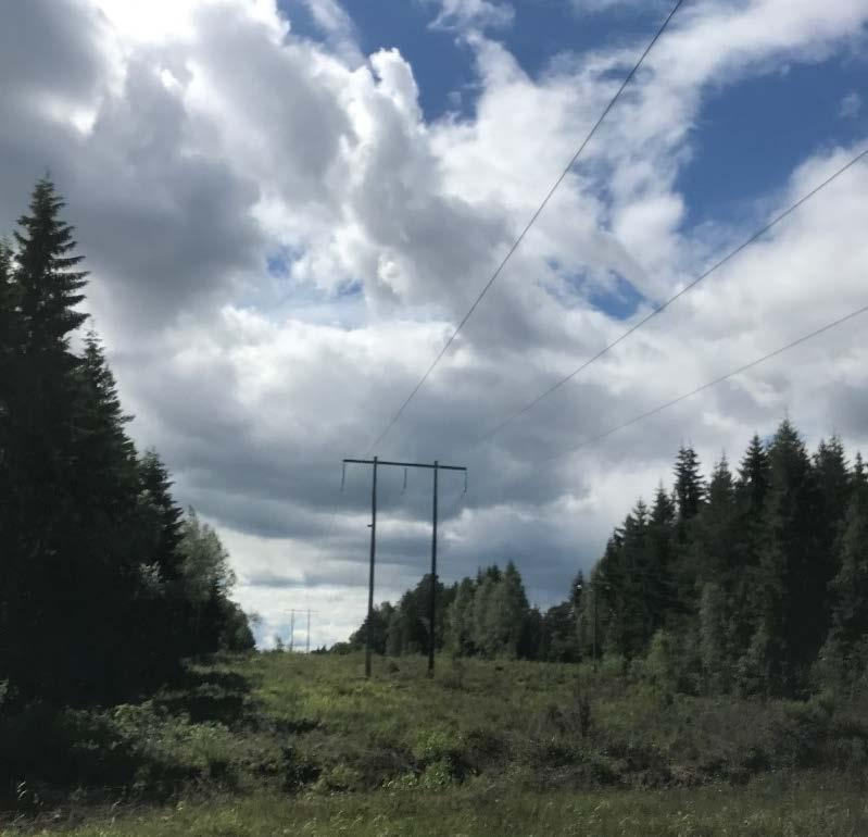 Figur. Trästolpar tillhörande aktuell ledning längs sträckan Hällefors-Persberg.