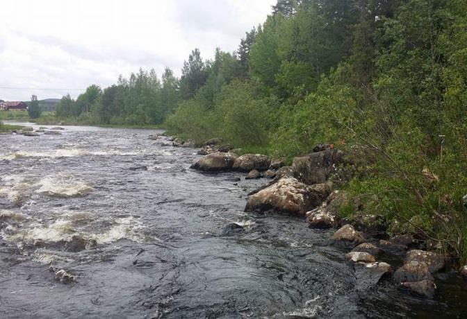 Flottledsrensningar Klumpströmmen är också försiktigt flottledrensad.