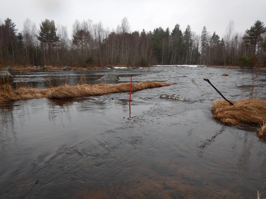 Referensbotten B före vårflodssimulering.