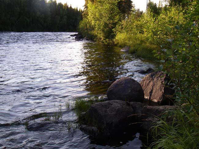 3.3.9 Mynningen (731451-171007) Figur 24 visar elfiskelokalen Mynningen, Varjisån 2007-08-17 nerifrån och på kartan markerat med rött B. Lokalen Mynningen har elfiskats kvalitativt samtliga år.