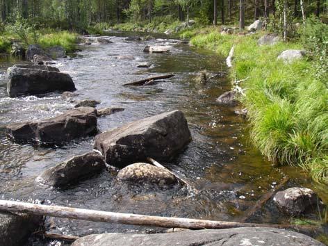 Under hela sommaren hade inte Piteälven haft några riktigt låga flöden före elfiskeperioden. Under 2006 var vattenföringarna låga till mycket låga.