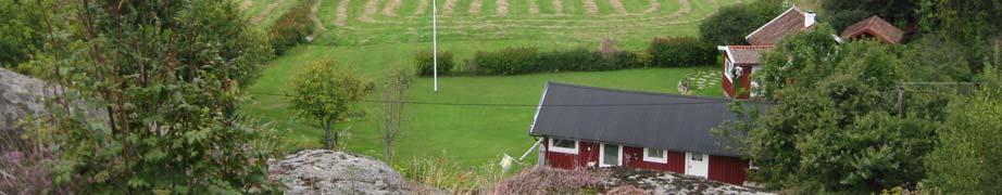 Tomterna har också lite gräsmatta samt trädgårdsvegetation.