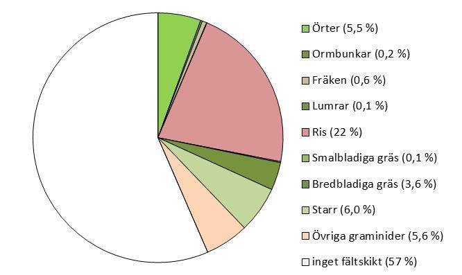 Som förväntat är vitmossor den grupp som dominerar bottenskiktet i myrar, men även andra mossor är vanliga (Figur 44).