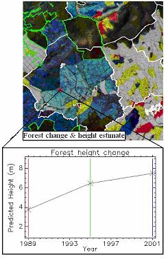 Förbättrad skogsskötsel med fjärranalys Storskalig fjärranalysdata erbjuder ett kostnadseffektivt alternativ till fältbaserad inventering för att följa beståndsutveckling.