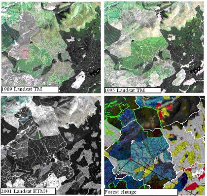 Jämförelsen har gjorts på tidsserier av satellitbilder från satelliten Landsat. Genom att jämföra bilderna med varandra kan skatta förändringar I bestånden.