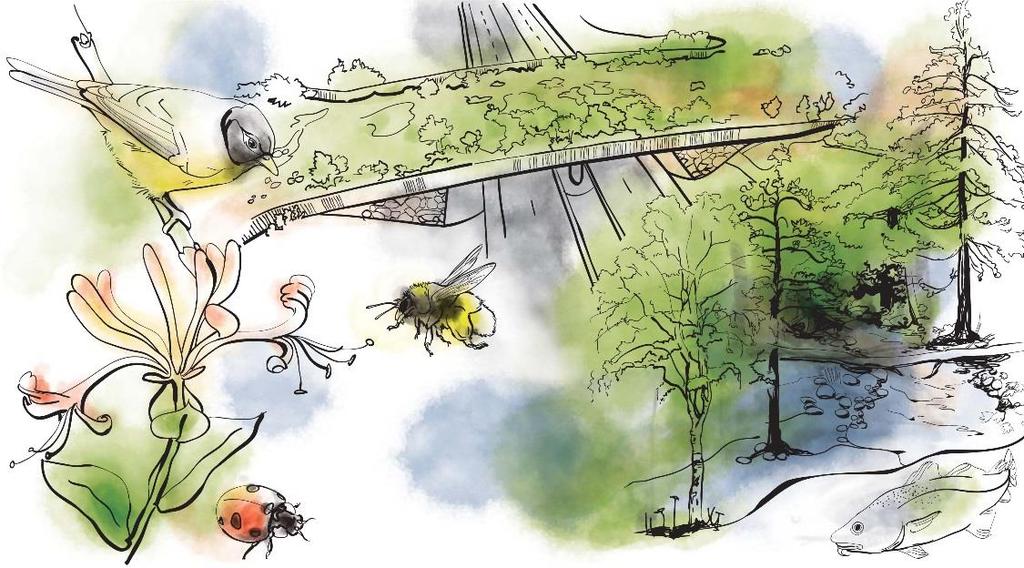 Remissversion 2017-05-05 Förändrade nederbördsmönster och ökad sommartorka ställer nya krav på markanvändningen i jord- och skogsbruket.