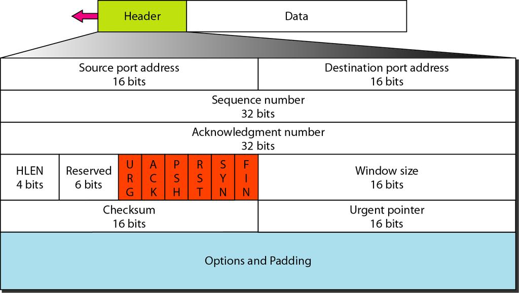 TCP header