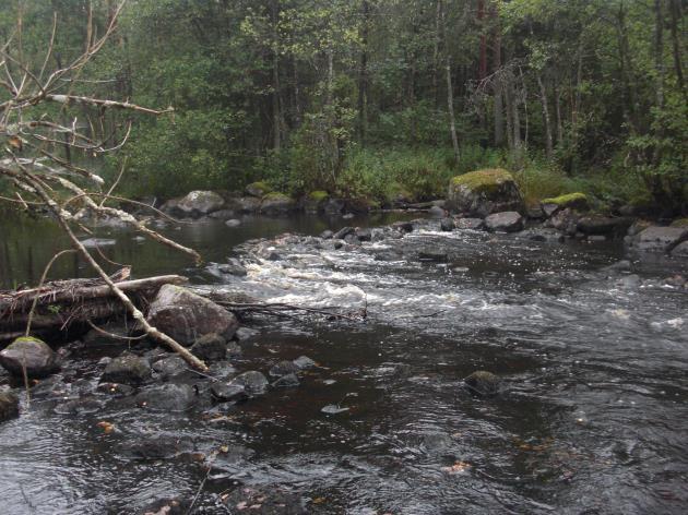 Merparten av alla block och större stenar har tagits bort från den södra fåran där nästan allt vatten går idag. Den norra fåran är mera opåverkad, men vattenflödet är här litet.