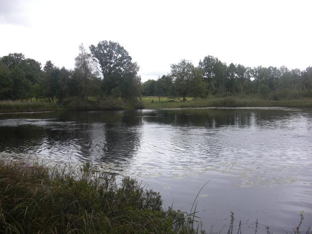 Ingen mänsklig påverkan på vattenbiotopen synes ha skett på sträckan. Sträckan saknar helt betydelse som reproduktionsområde för öring.