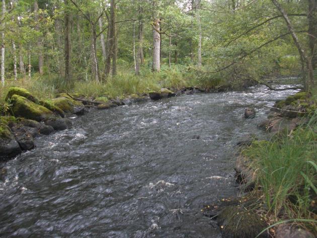 Delsträcka 18 Biotopbeskrivning Nedströms Kvarntorpet, en rest efter tidigare kvarnverksamhet, finns en strömsträcka som rensats kraftigt.