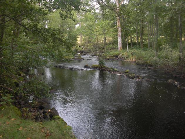 Strömförhållandena är varierande med omväxlande strömmande partier avlösta av svagt strömmande sträckor. Nedre delen av sträckan består dock helt av snabbt strömmande vatten.