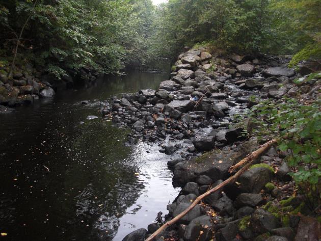 Delsträcka 1 startar vid utloppet i Helgeån och sträcker sig ca 15 m in i naturfåran för att avslutas vid ett mindre vandringshinder, se Vandringshinder avsnitt Naturfåran.