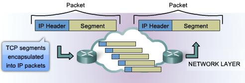 IPv4 protokoll Nätverksskiktets tjänster genomförs av Internet Protocol. IPv4 är för närvarande den mest använda versionen av IP, men också IPv6 är i bruk.