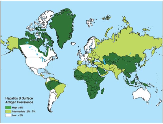 Hepatit B i världen Ca 400 milj. smittade i världen.