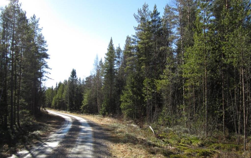 I nord-sydlig riktning går Hyndbränn skogsväg som en centralaxel genom hela planområdet.