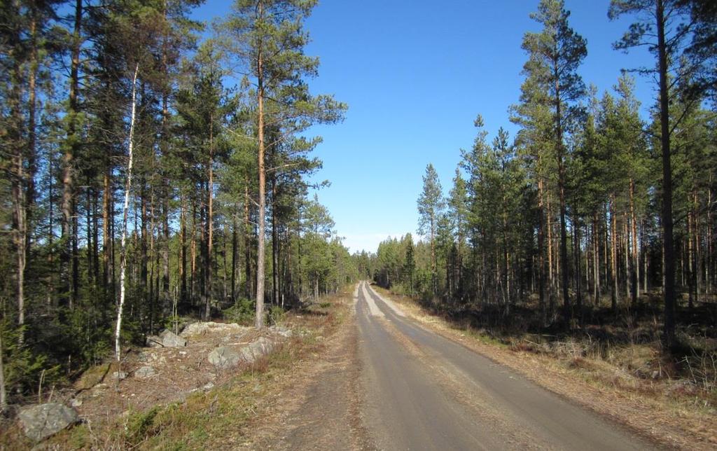 Bild 8-10 visar Hyndbränn skogsväg och vägens direkta närmiljö. Bild 8.