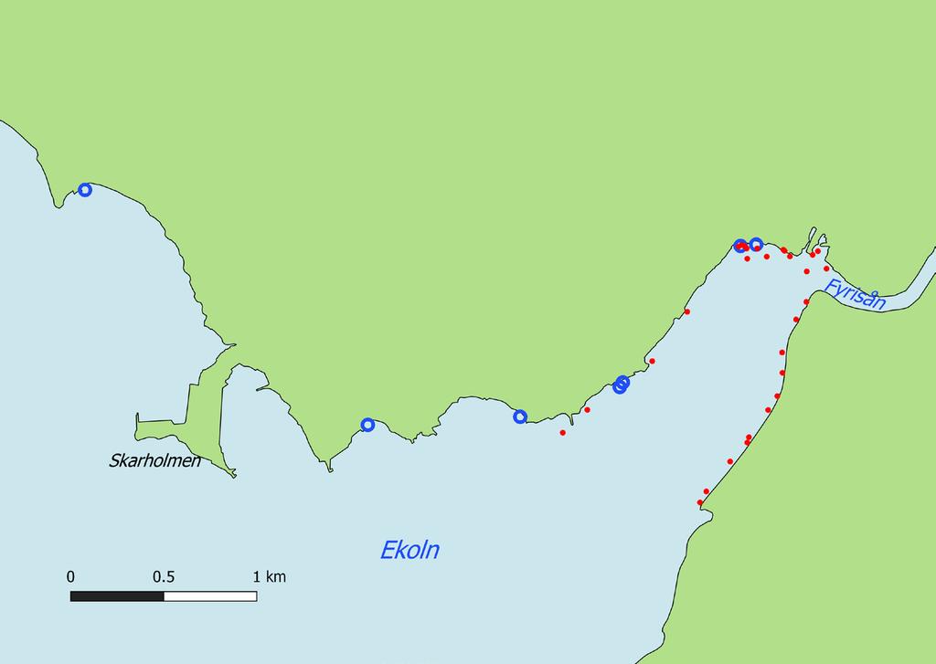 Figur 3. Platser för provfiske med yngelnot (blå ringar) samt små undervattensdetonationer (röda punkter) i Ekoln 17-18 augusti 2015. Figur 4.