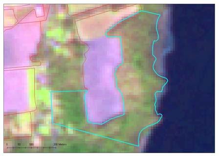Figur 14. Området innanför den blå linjen har tagits bort på grund av det är bevuxet med buskar och träd. Till vänster visas satellitbilden, till höger en flygbild.