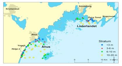 Undersökta områden Fisket utfördes med Nordiska Kustöversiktsnät i fyra olika djup- Intervall (0-3m, 3-6m, 6-10m och 10-20m) Varje