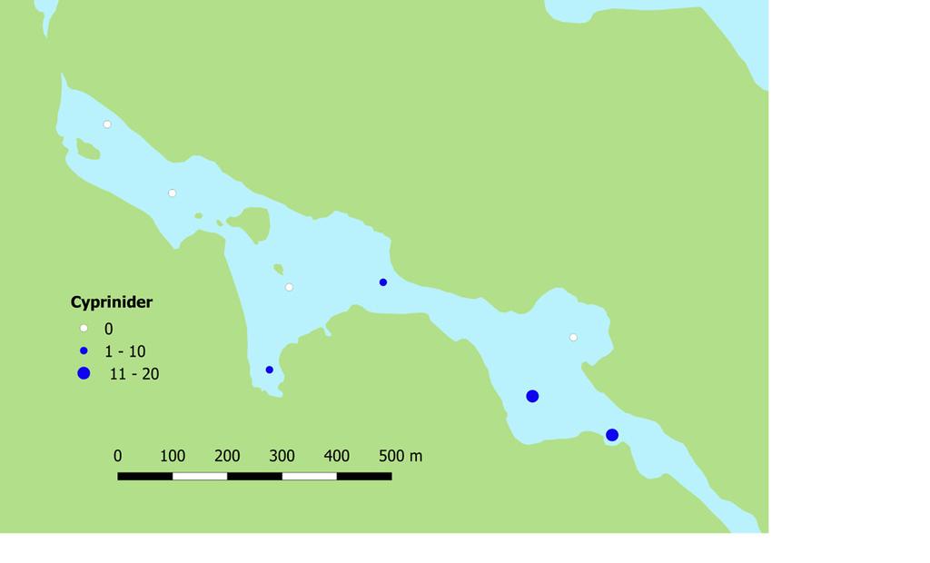 Figur 11. Fångst av årsyngel per skott av gädda i vattnen runt Kavarön 2017. Totalt lades 8 skott i området. Figur 12.