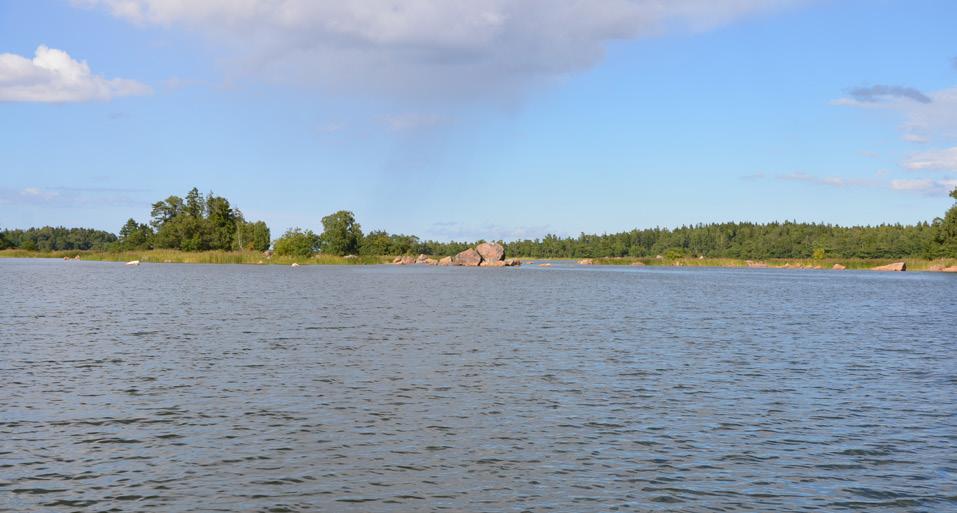 Under våren 2010 beviljades Upplandsstiftelsen medel för projekt Förstärkta fiskbestånd i Roslagens skärgård som pågick 2010 2012.