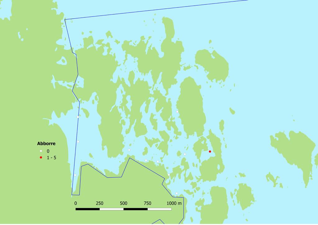 Tabell 1. Fångsten av sikyngel (antal per notdrag) vid notdragning våren 2017 i Kallrigareservatet. Se kartan i Figur 2 för lokalernas lägen.
