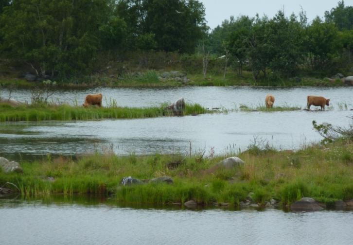 habitat Anlägg