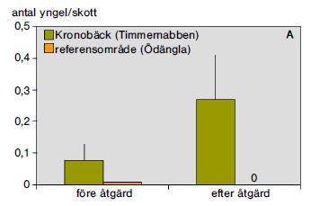 ängar  Bild: