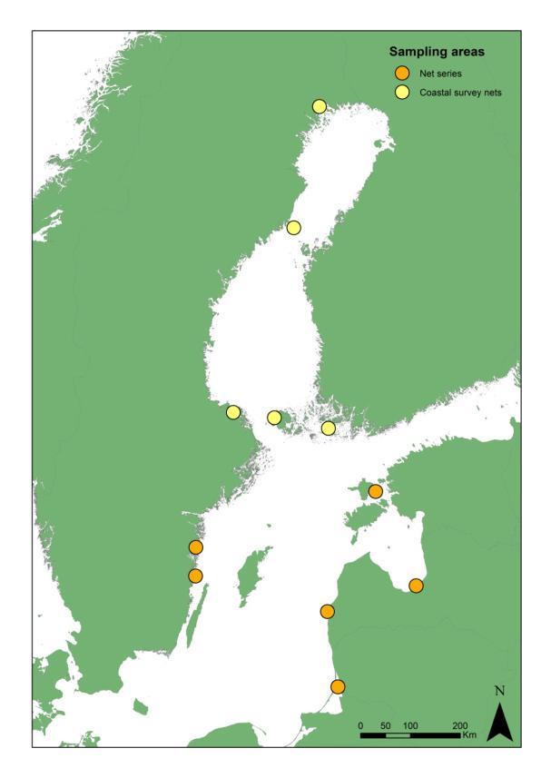 Provfiske senaste 15 åren Forsmark Råneå Holmön ICES SD 30 (Finland) Finbo ICES SD 31 (Finland) ICES SD 29(Finland) ICES SD 32(Finland) Brunskär