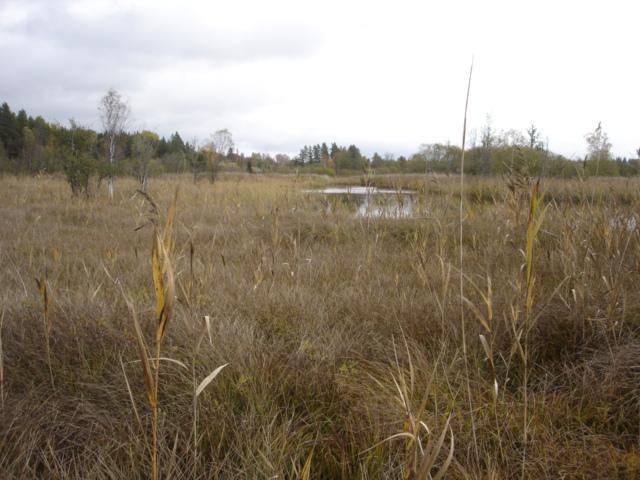 vattendragsområde med