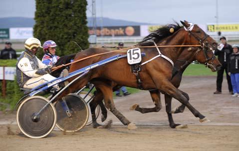 090509 Rejäl insats av Yosemite Boko Kapable Yosemite Boko är nu tillbaka som en vinnare. Igår på Romme svarade han för en riktigt rejäl insats.