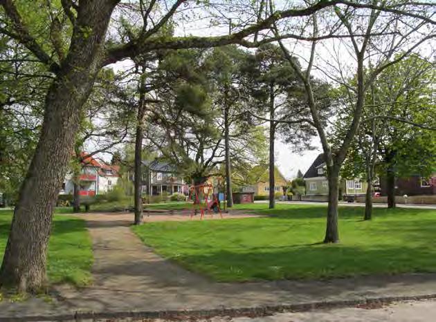 Genom att ta ned en del träd skulle det bli ljusare i parken och skapa mer kontraster om träd bevarades i grupper snarare än jämt över ytan.