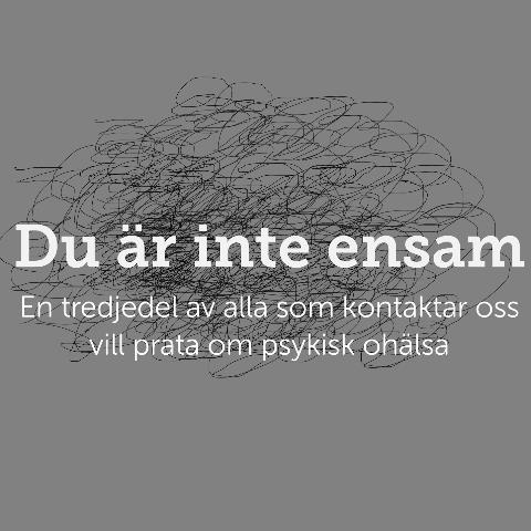 Pärmarna innehåller allt från jourens styrdokument och information om aktuella bidrag, anställningar och avtal till begrepps- och dagordningsförklaringar.