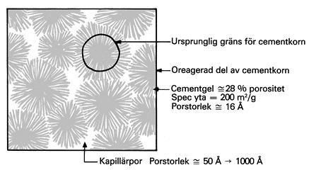 Figur 2. Schematisk bild av strukturen för delvis hydratiserad cementpasta.