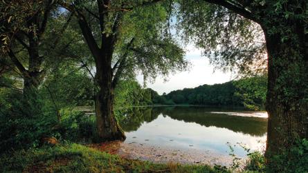 Avsättningen för ej intjänade premier avser att täcka den förväntade skade- och driftskostnaden under den återstående löptiden på redan ingångna och fakturerade försäkringsavtal som fördelas