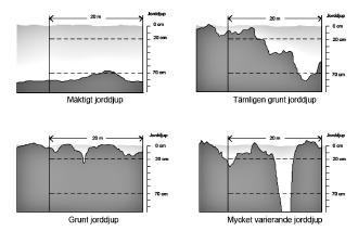 Möjlighet att studera samband mellan markegenskaper, topografi och