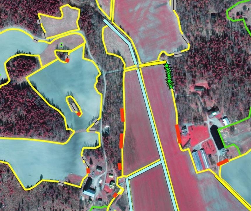 Total-kartering inom 3x3 km ruta Kant mot åkermark Kant mot betesmark Diken Bärande träd och