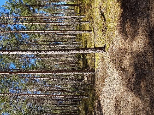 Kristinehamns OK inbjuder till Kristinehamns OL-weekend 2018 1 september: Nationell medeldistans 2 september: Nationell medeldistans Klasser och Banlängder Tävlingsklass HD10-HD85 Kortklass