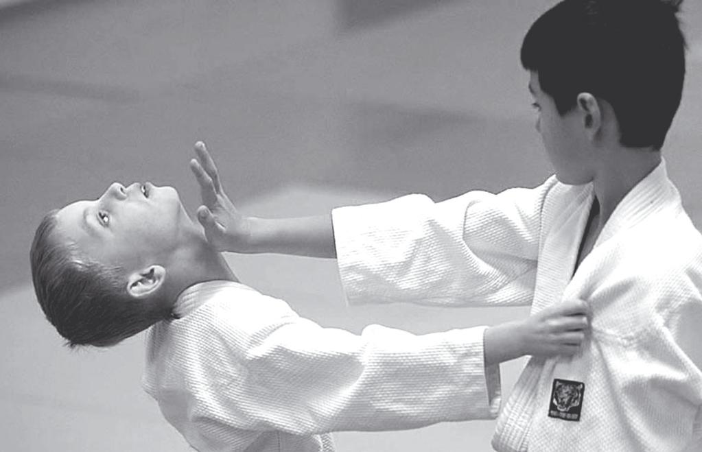 Svenska Budo & Kampsportsförbundet svensk aikidos framtid. Inför konferensen hade ett diskussionsunderlag sänts ut till alla klubbar.
