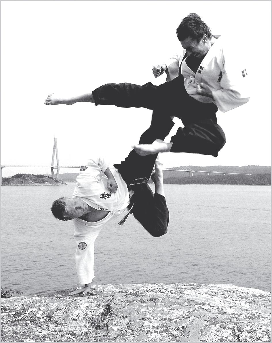 www.budokampsport.se jissen (kamp) Anna Cervin, 2 kyu, från Taidoklubben Sensu Dojo, Strömstad, som kämpade till sig mästartitlarna.
