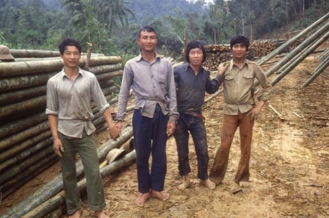 Redan från 1971 stödde Sverige skogsinventering i Vietnam men det stora engagemanget började med det politiskt kontroversiella beslutet 1974 att stödja byggandet av en massa-/pappersfabrik, Bai Bang