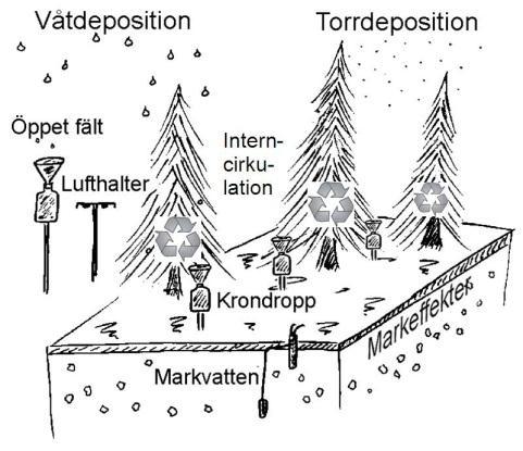 Tillståndet i skogsmiljön i Värmlands län. Resultat från Krondroppsnätet t.o.m. september 11. IVL rapport B 3.